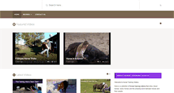 Desktop Screenshot of horsetrainingvideos101.com